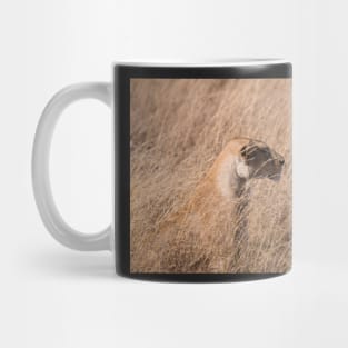 Serengeti Lion #6 Mug